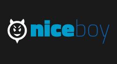 niceboy logo